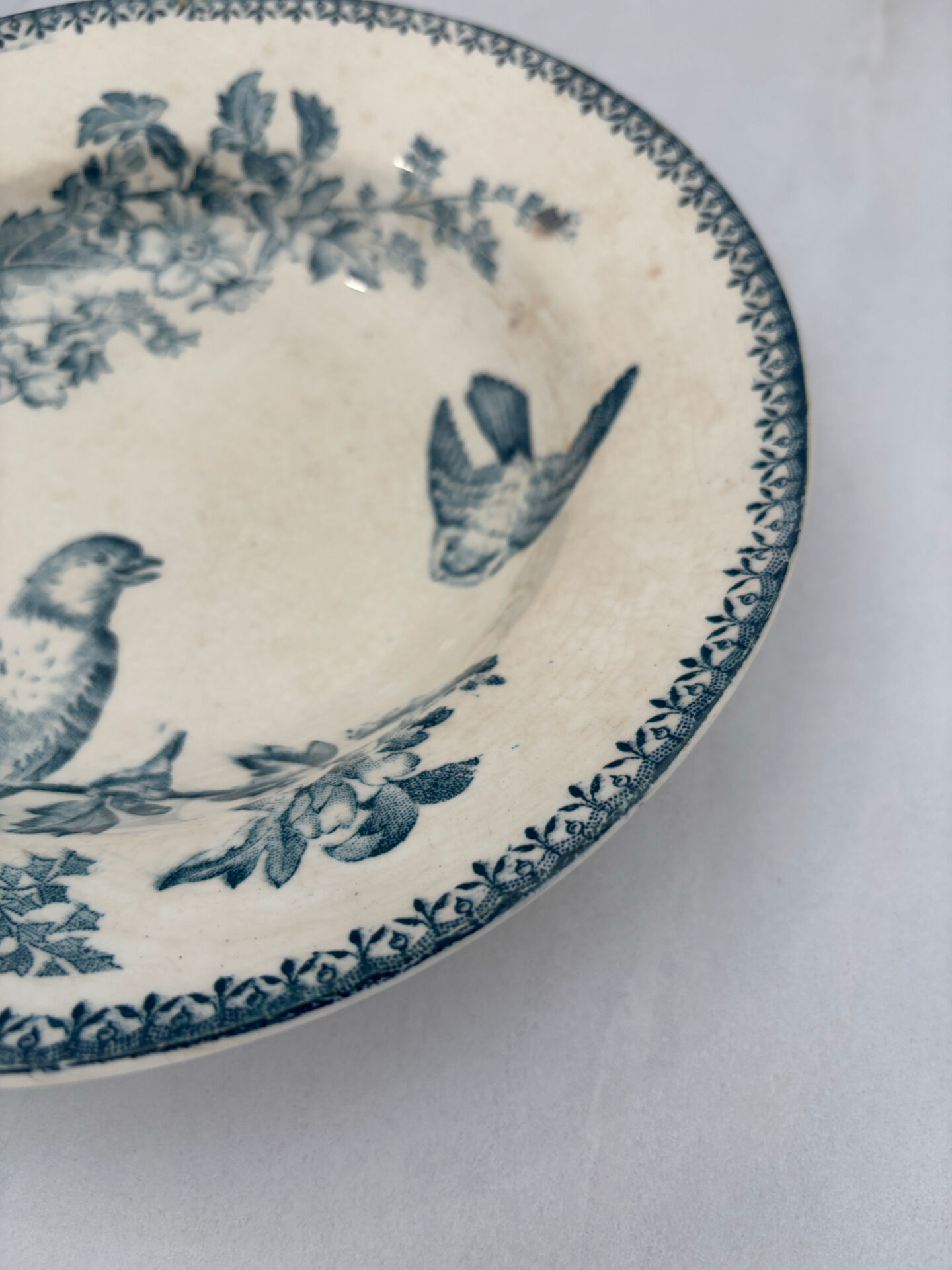 Assiette creuse longwy mesange terre de fer bleu - faïence ancienne fr