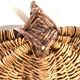 Old wicker basket year 20
