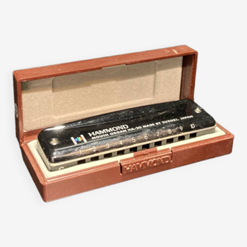 10 hole harmonica