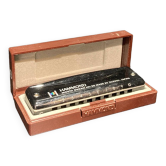 Harmonica 10 trous