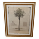Aquarelle originale Jacob Edwards cadre vitré