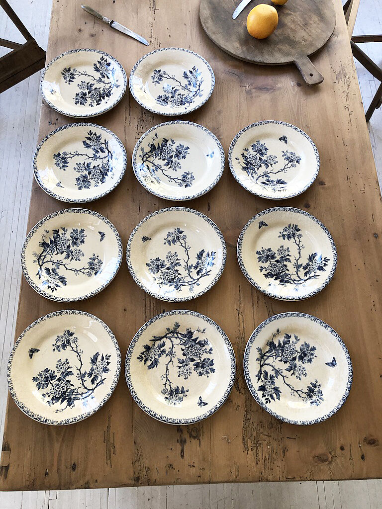 11 plates Terre de Fer Aubepine