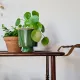 Vintage stained wood and clear glass sideboard – 1950s/60s