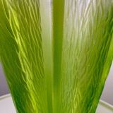Fluorescence