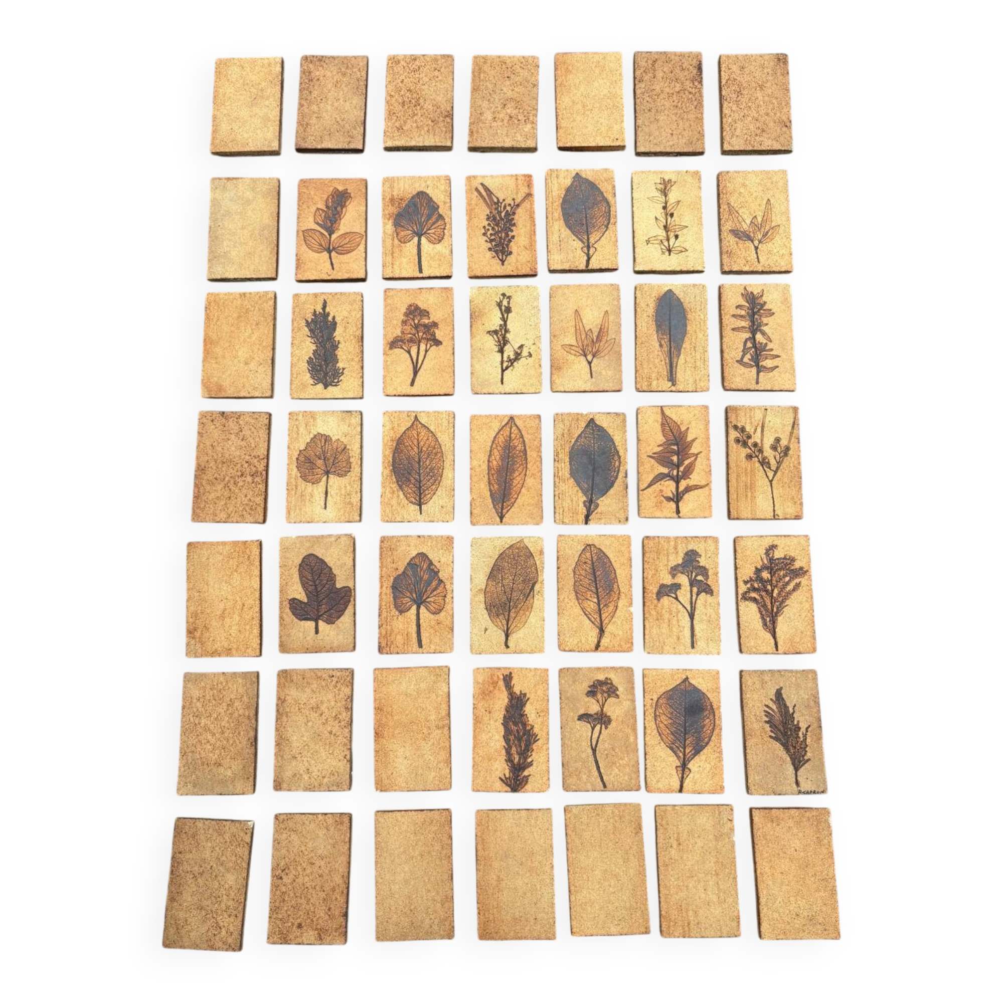 Set of 52 Vallauris herbarium tiles signed Capron