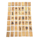 Set of 52 Vallauris herbarium tiles signed Capron