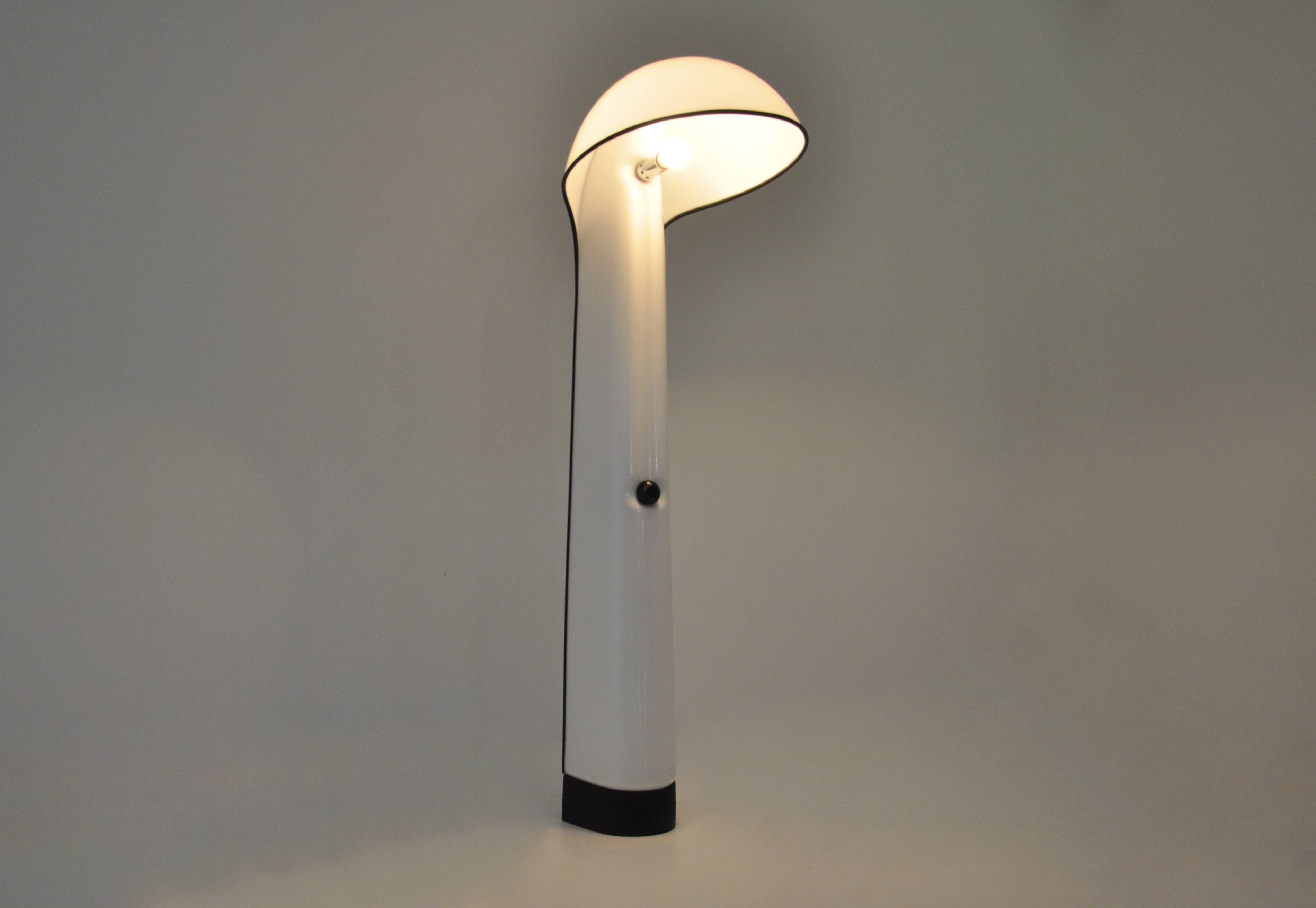 Alba floor lamp by Sergio Brazzoli & Ermanno Lampa for Harvey Guzzini, 19