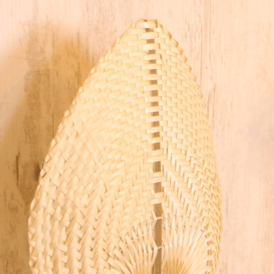Palm Rattab Sconce Lamp, Wall Art Decor, 30x38Cm