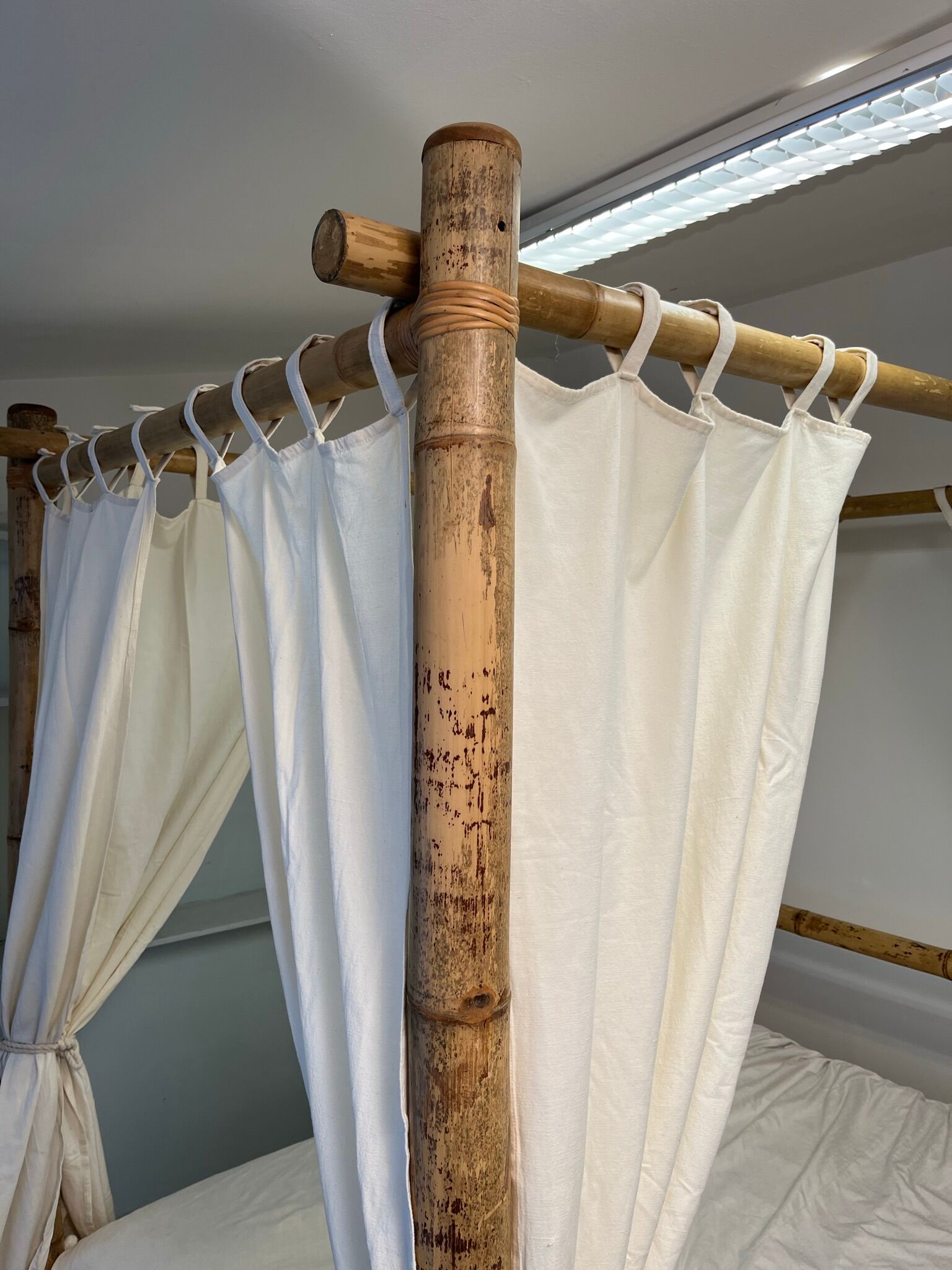 Tabby bamboo canopy bed