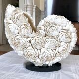 Shell lamp