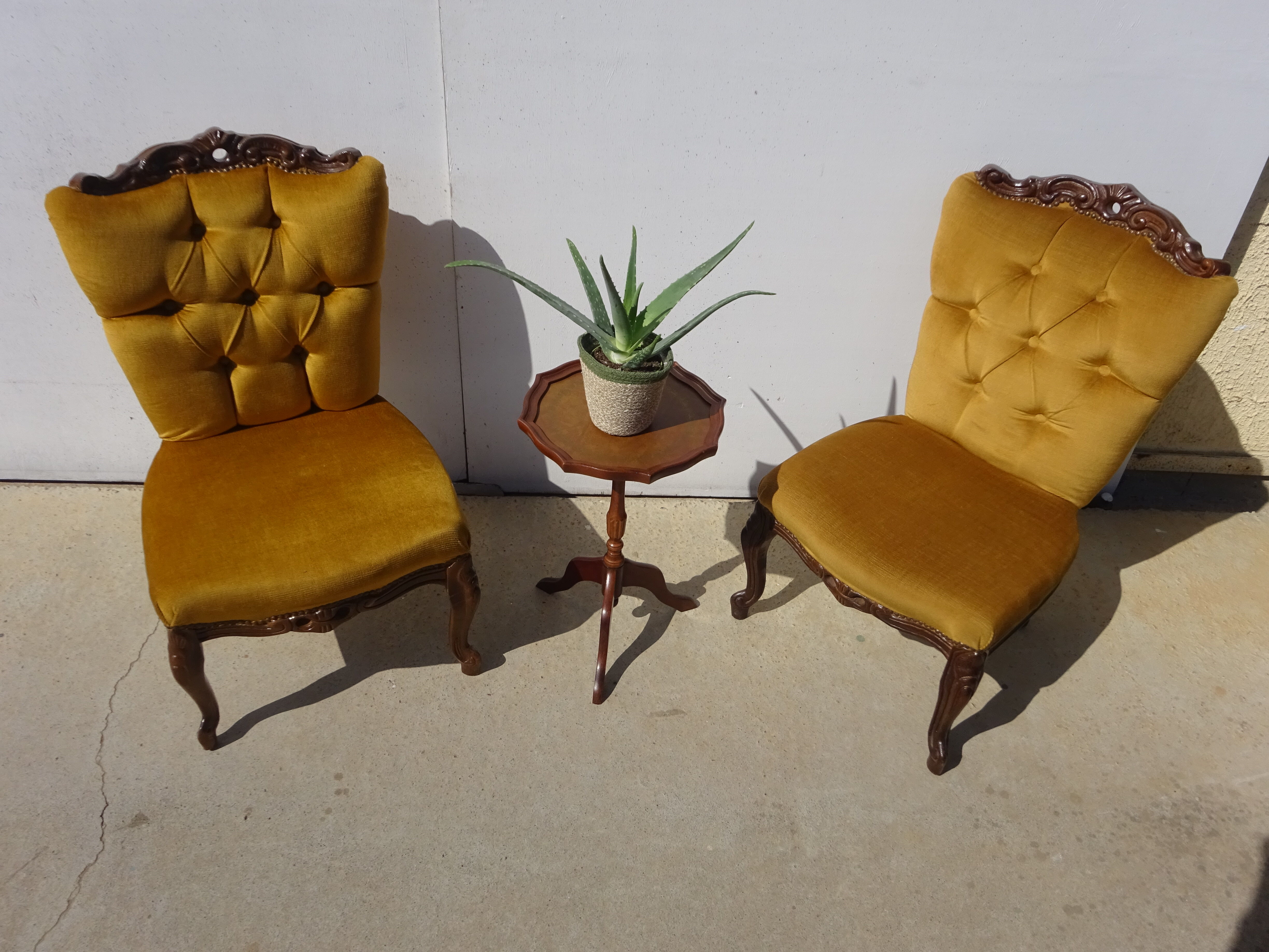 Golden yellow velvet armchairs