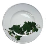 13-piece Dibbern Herbaticum porcelain dessert set circa 1980