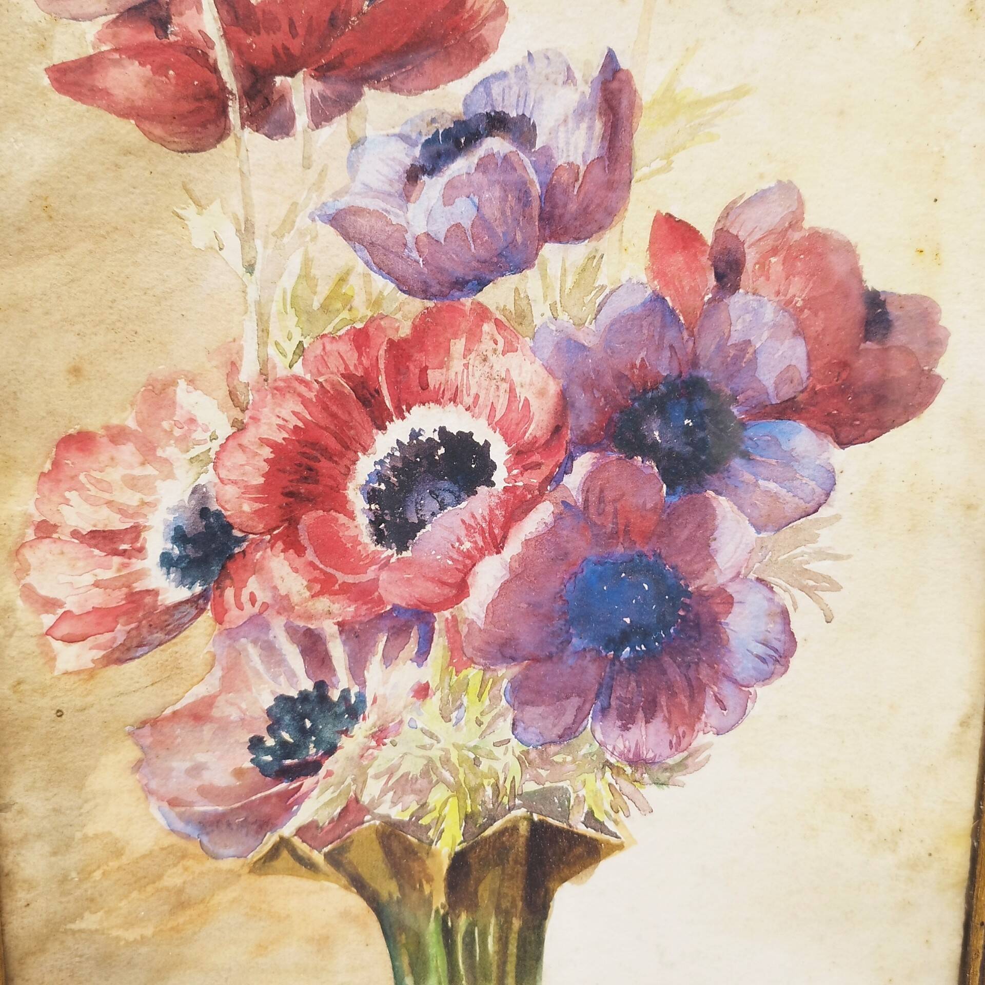 Watercolor bouquet of vintage Paul Marengo anemones