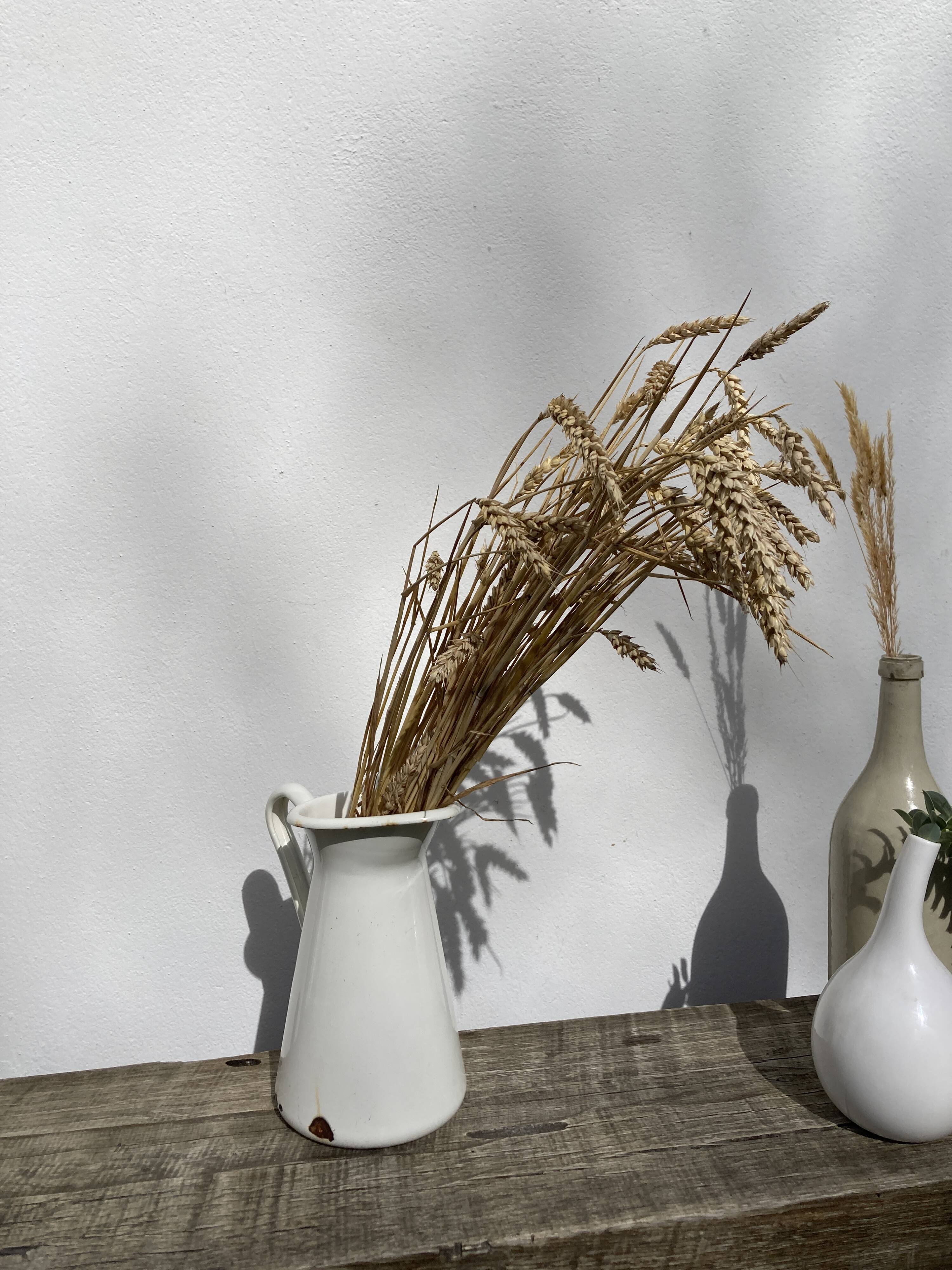Old white enamelled metal pitcher