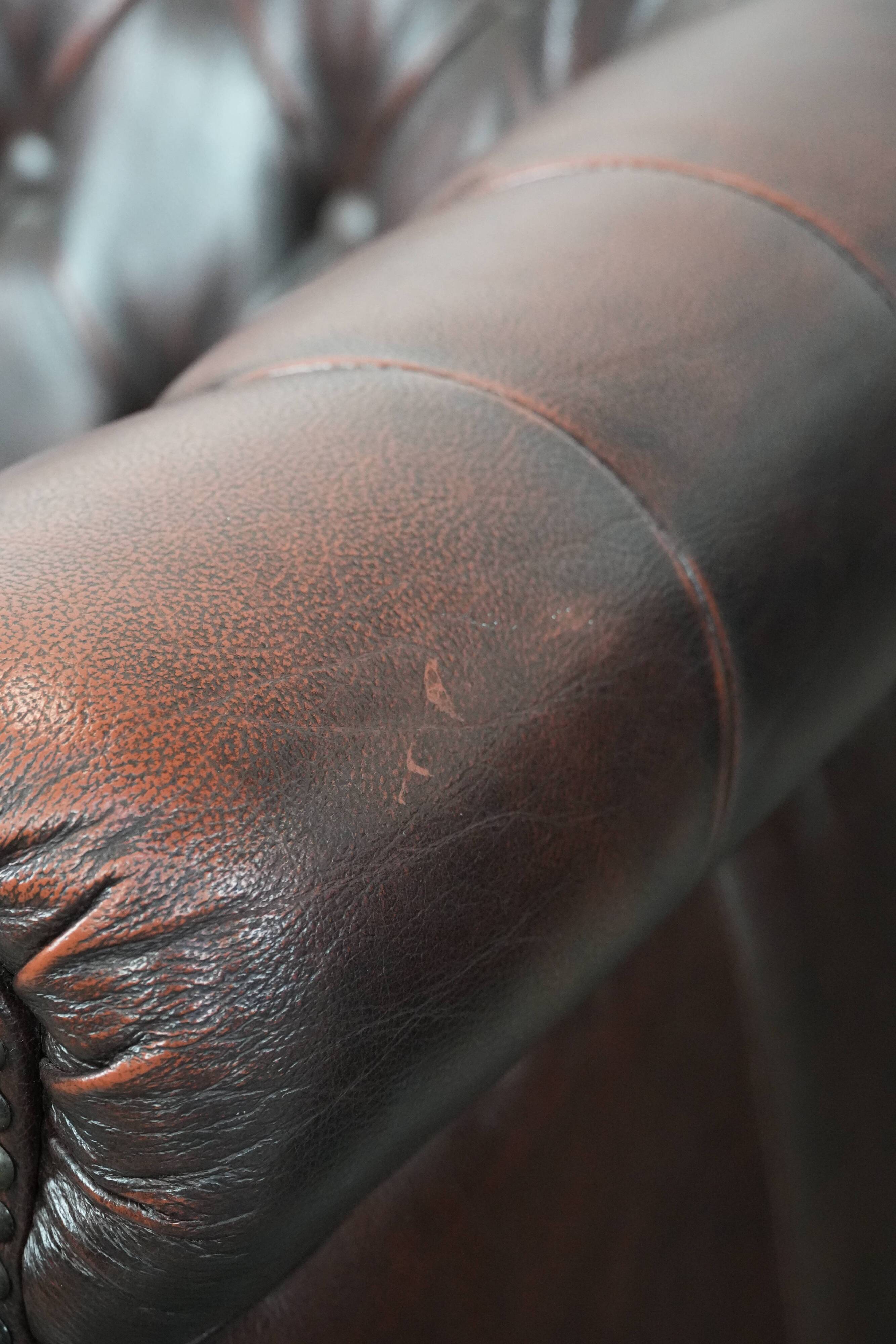 Set of three classic English-style Chesterfield cowhide  club armchairs