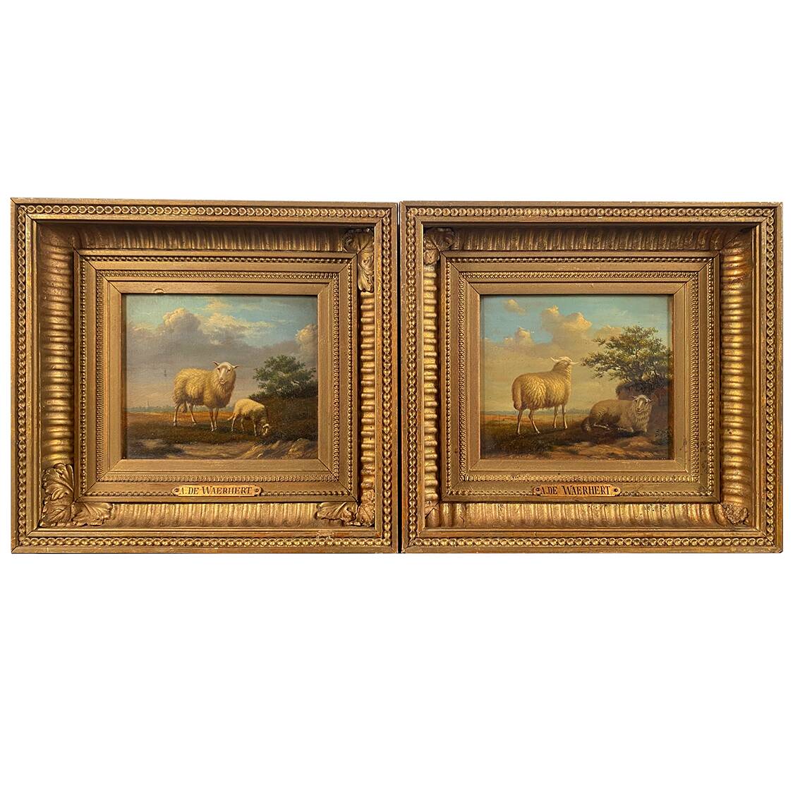 Arthur de waerhert (1881-1944). "sheep", pair of oils on panel.