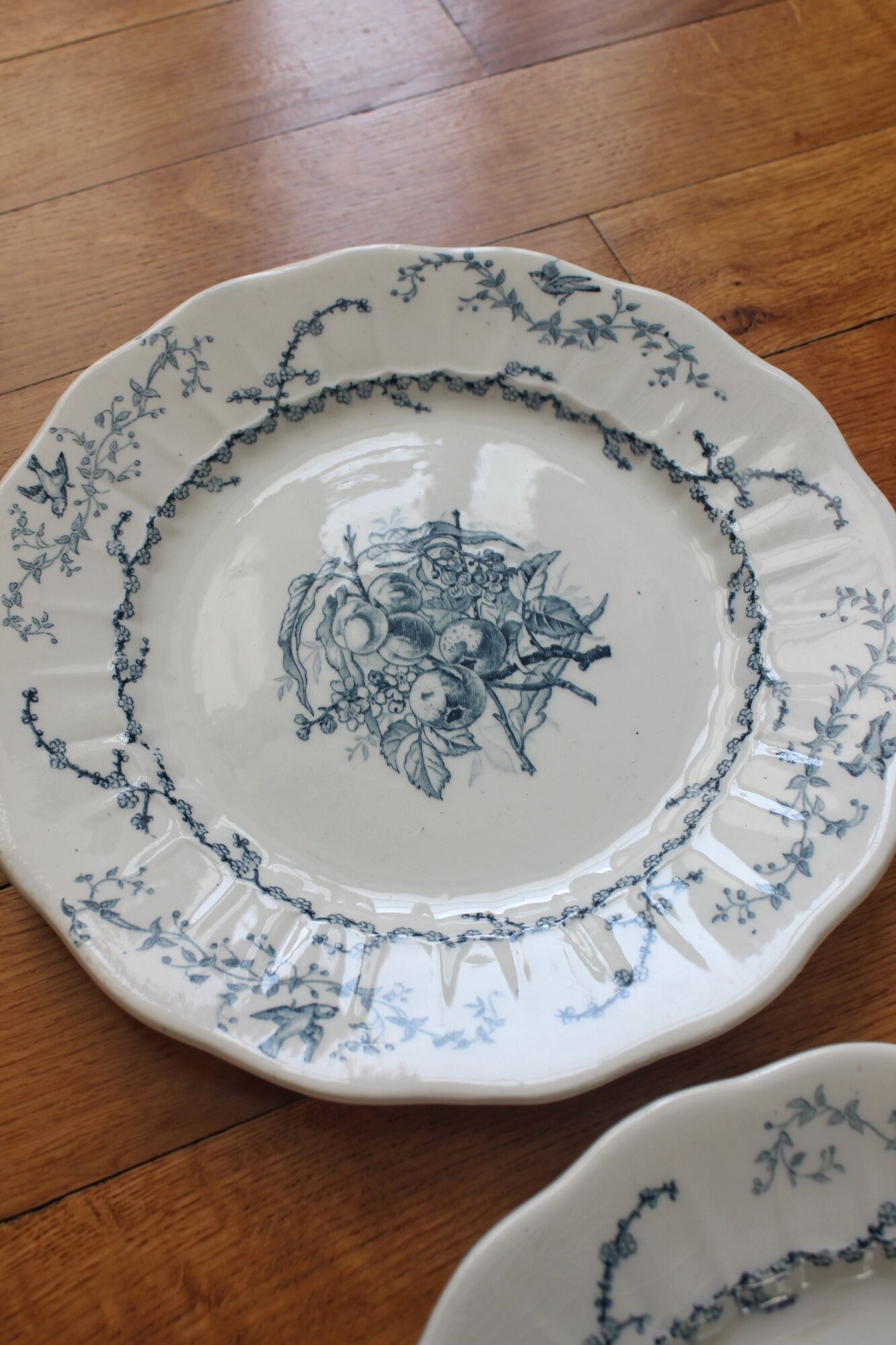 6 flat plates in iron earth Pompadour earthenware factory of Clairefontaine