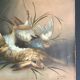Oil on canvas - still life