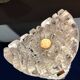 Pair of crystal wall lights for vintage Kalmar