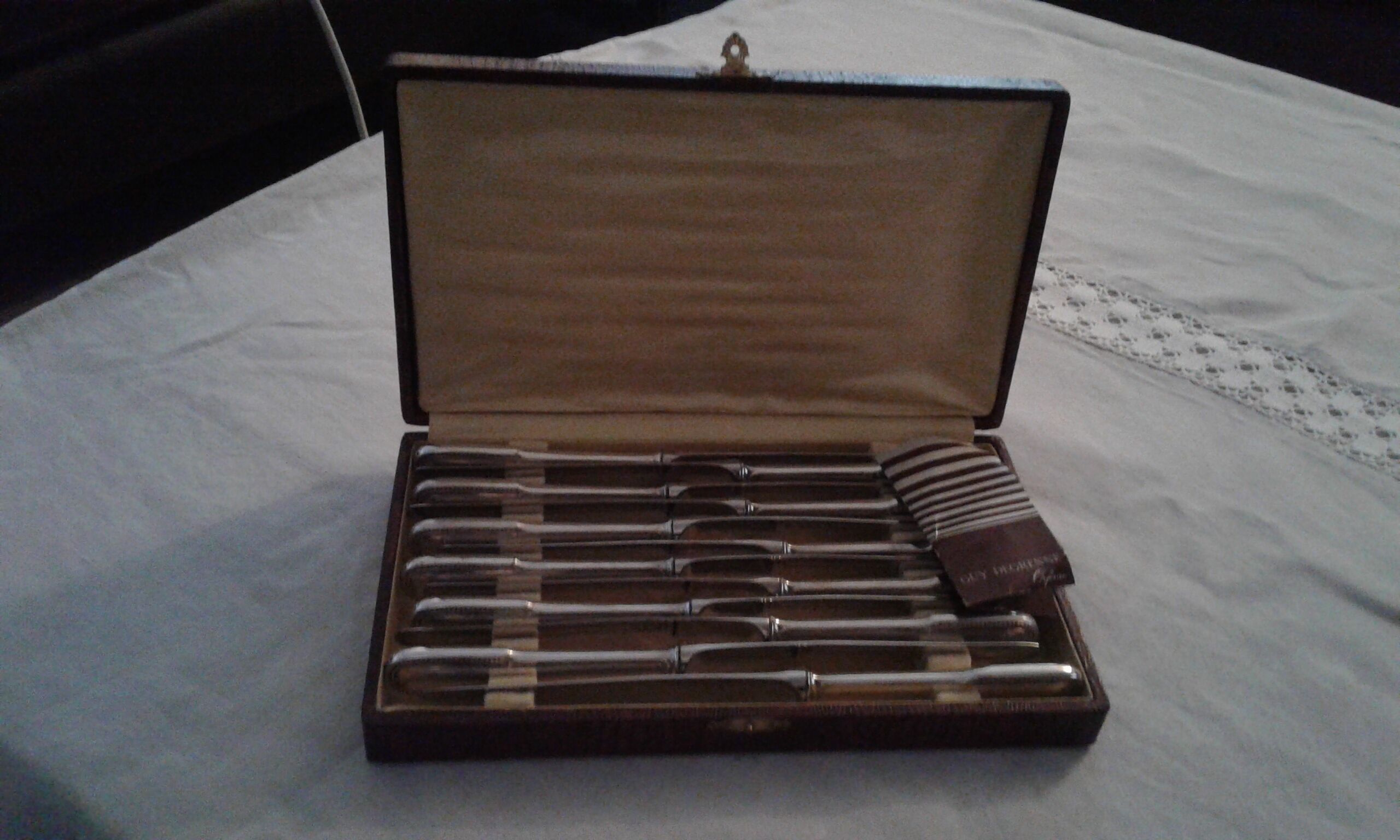 12 knives stainless steel Guy Degrenne