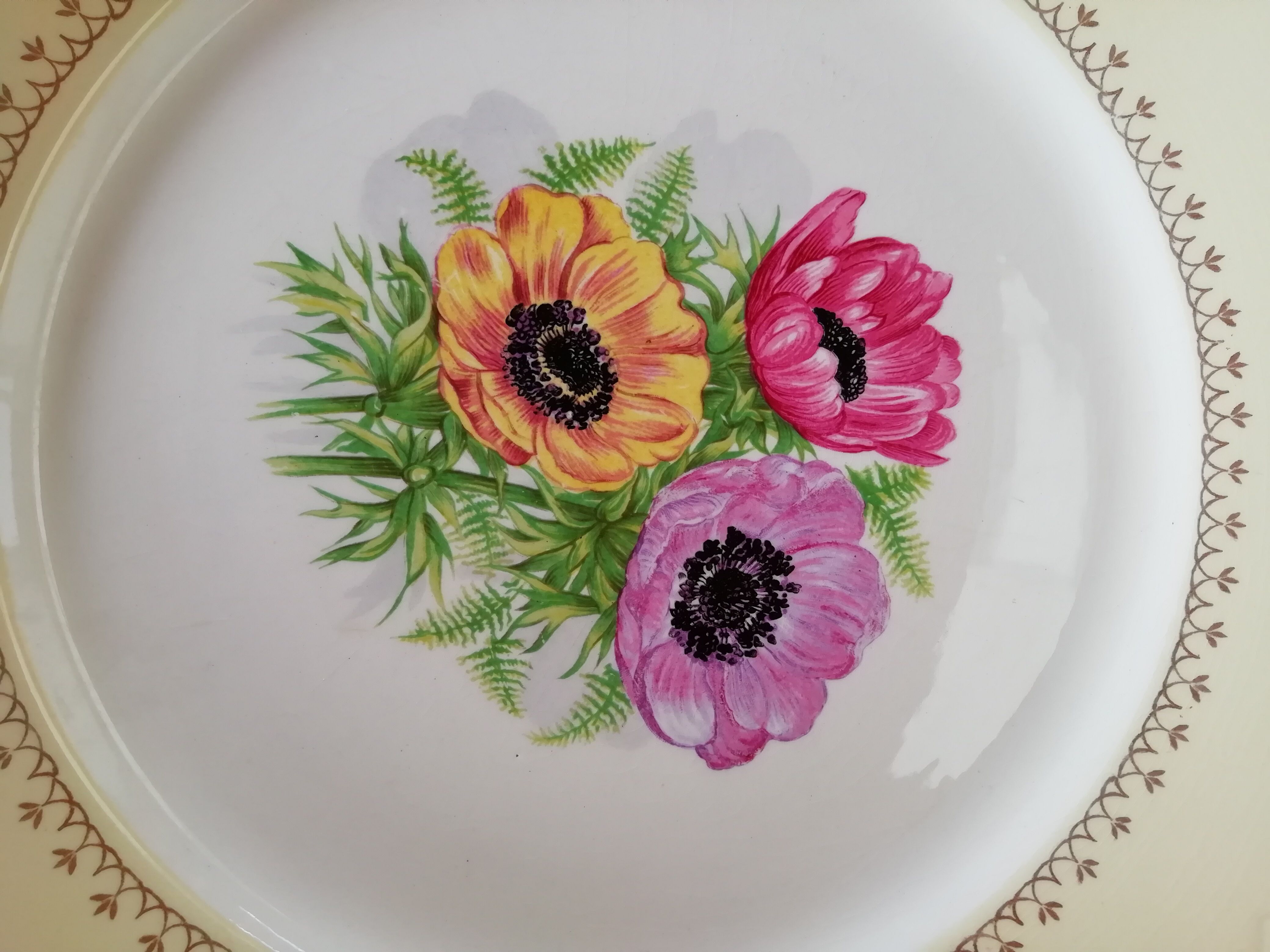 Coopélia anemone cake dish