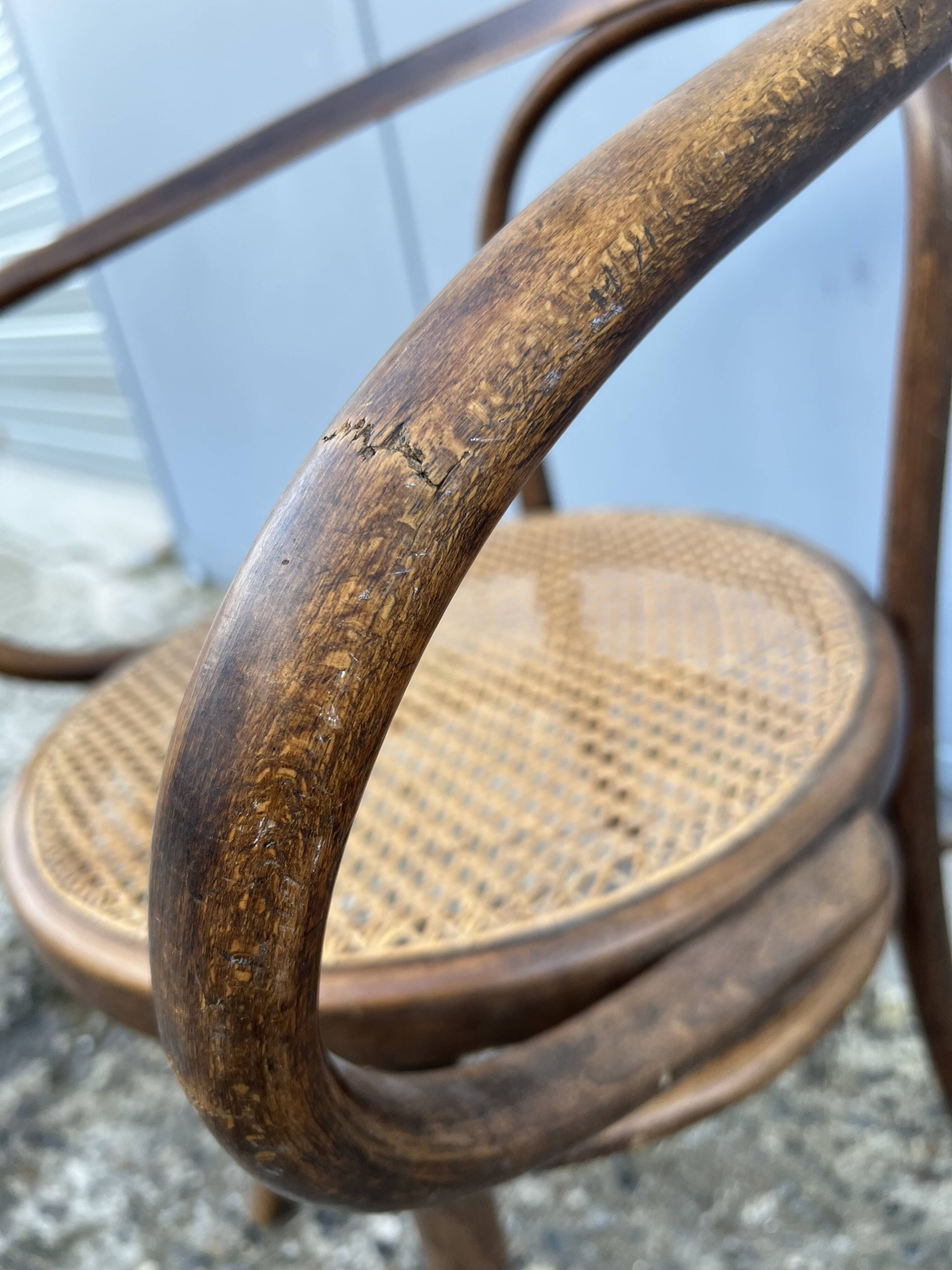 Thonet 209 chair by Mundus