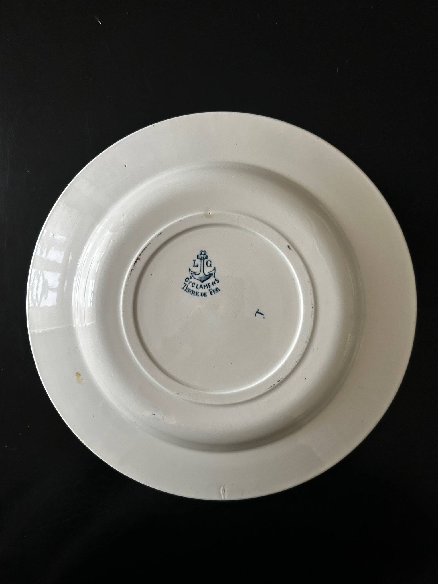 13 deep plates Terre de fer Cyclamens Louis Graves