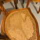 Set of 4 caned medallion chairs in Louis XVI style - Excellent condition - Oak
