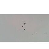 Art Deco wall mirror