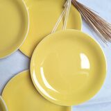 Villeroy & Boch yellow dinner plates