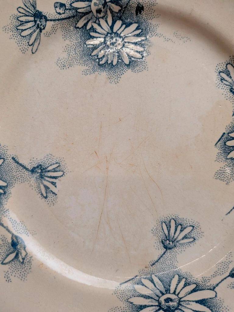 Marguerite ironstone dessert plate – Nouvelle Givors pottery