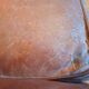 Vintage large club armchair moustache model