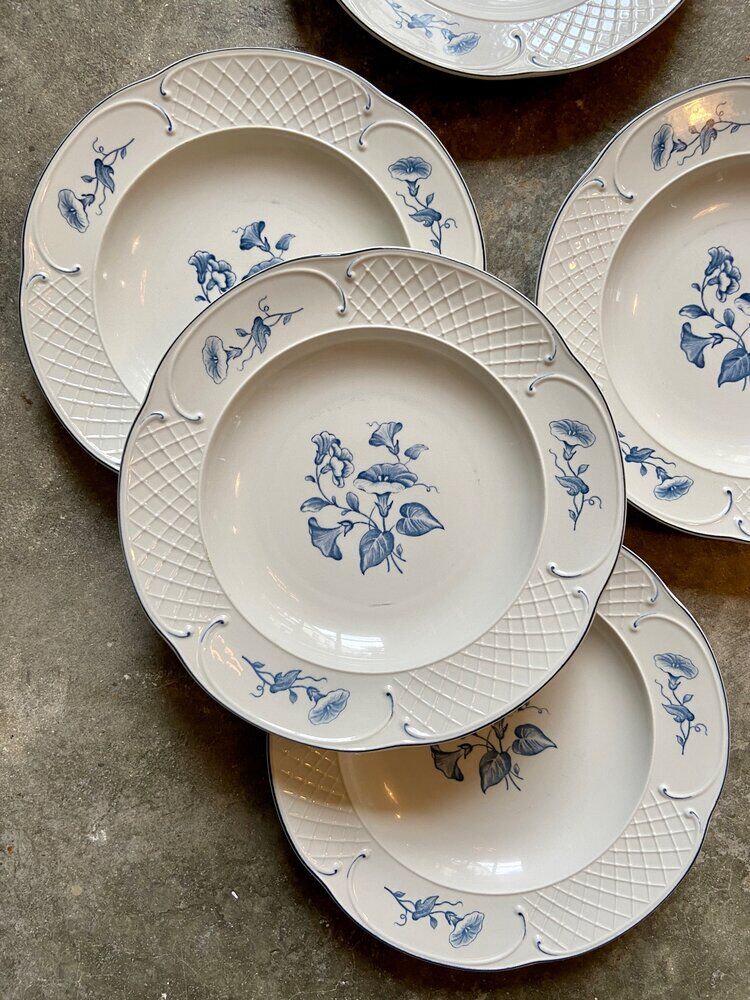 5 hollow plates Villeroy & Boch in porcelain