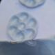 Set of 6 shell plates