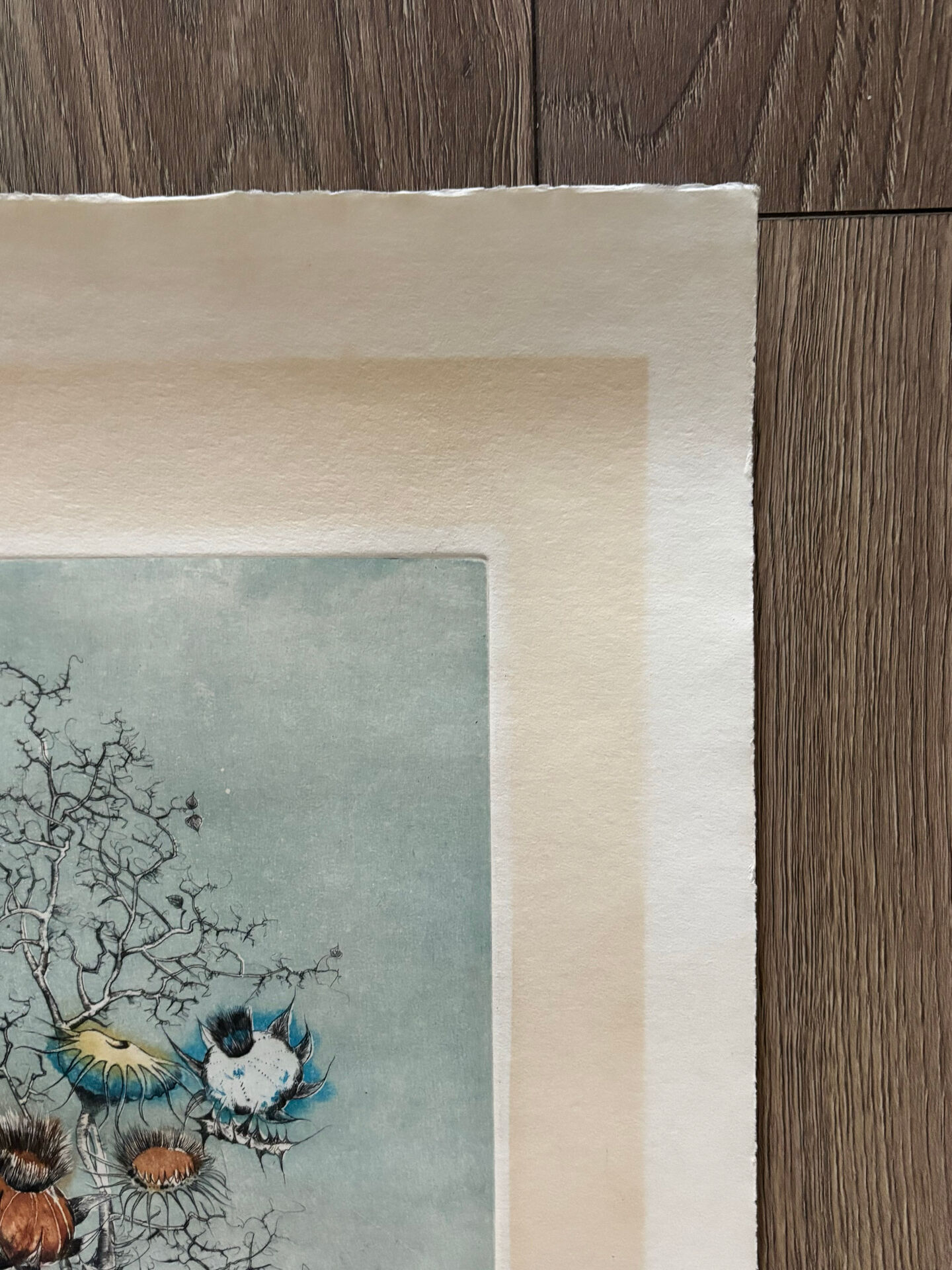 Original Engraving Bernard Louedin 1978 "Thistles of the Marsh" Signed Numbered