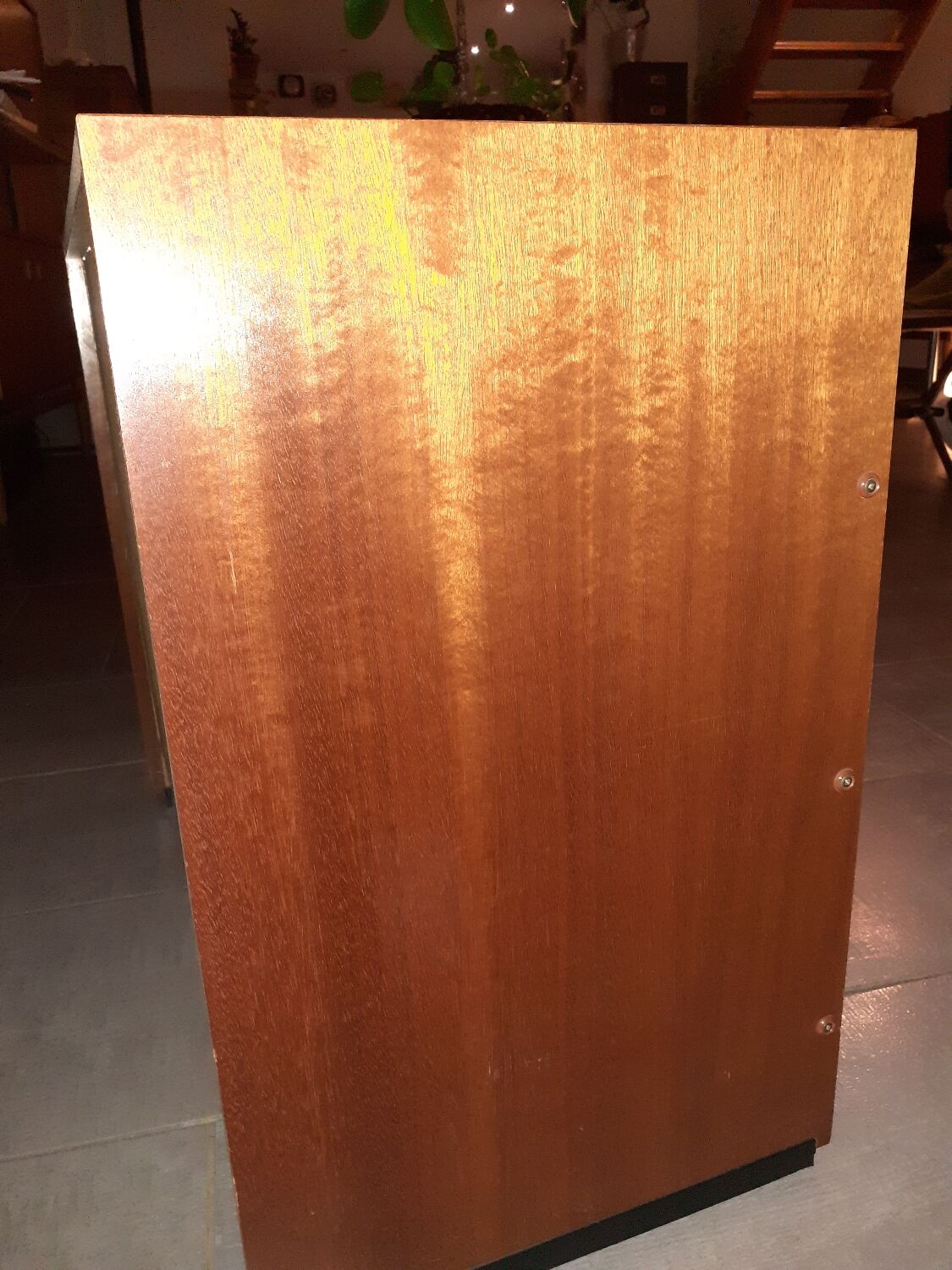 Vintage shoe cabinet