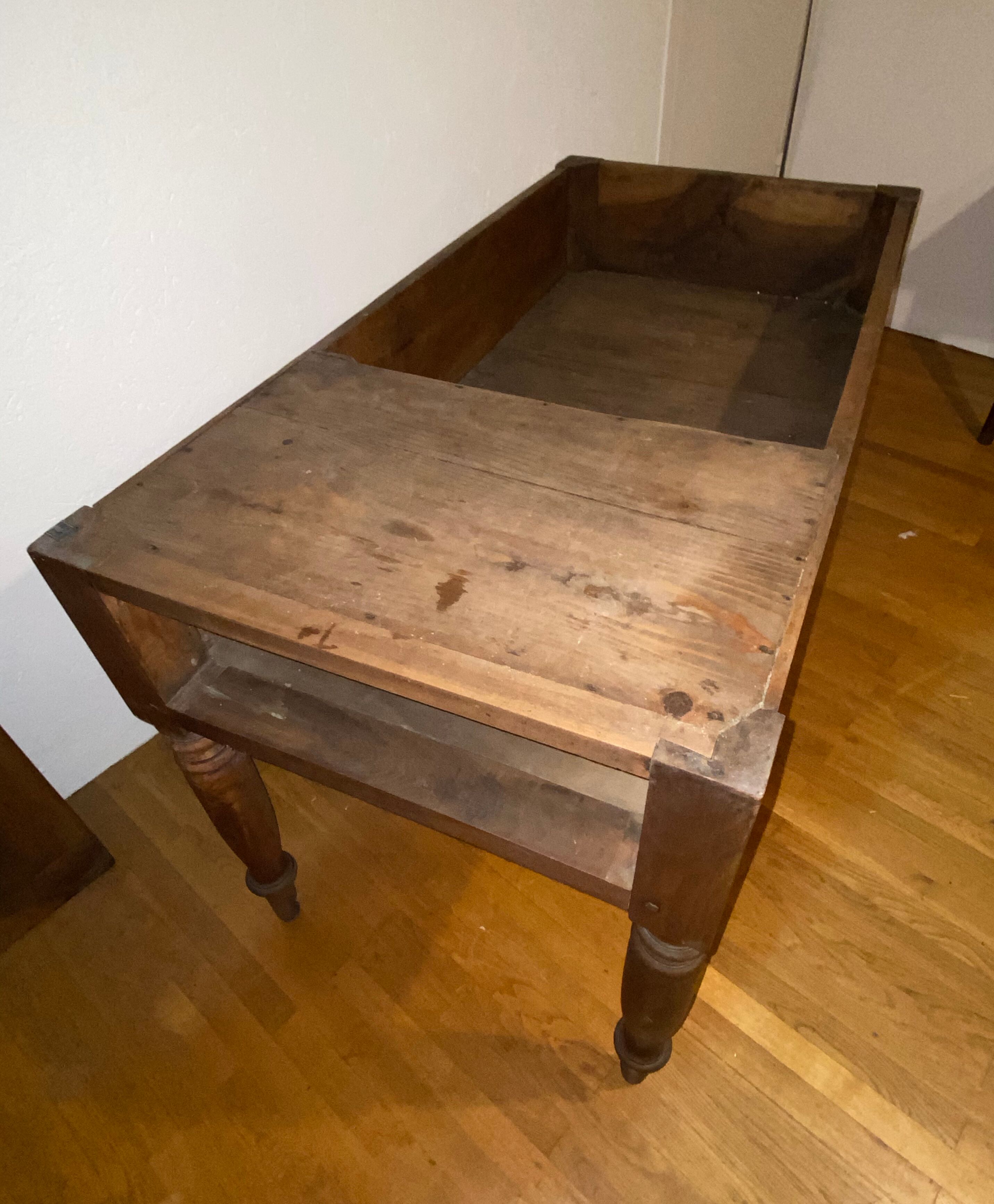 Dolphin table petri dish