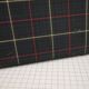 Green scottish fabric case with key