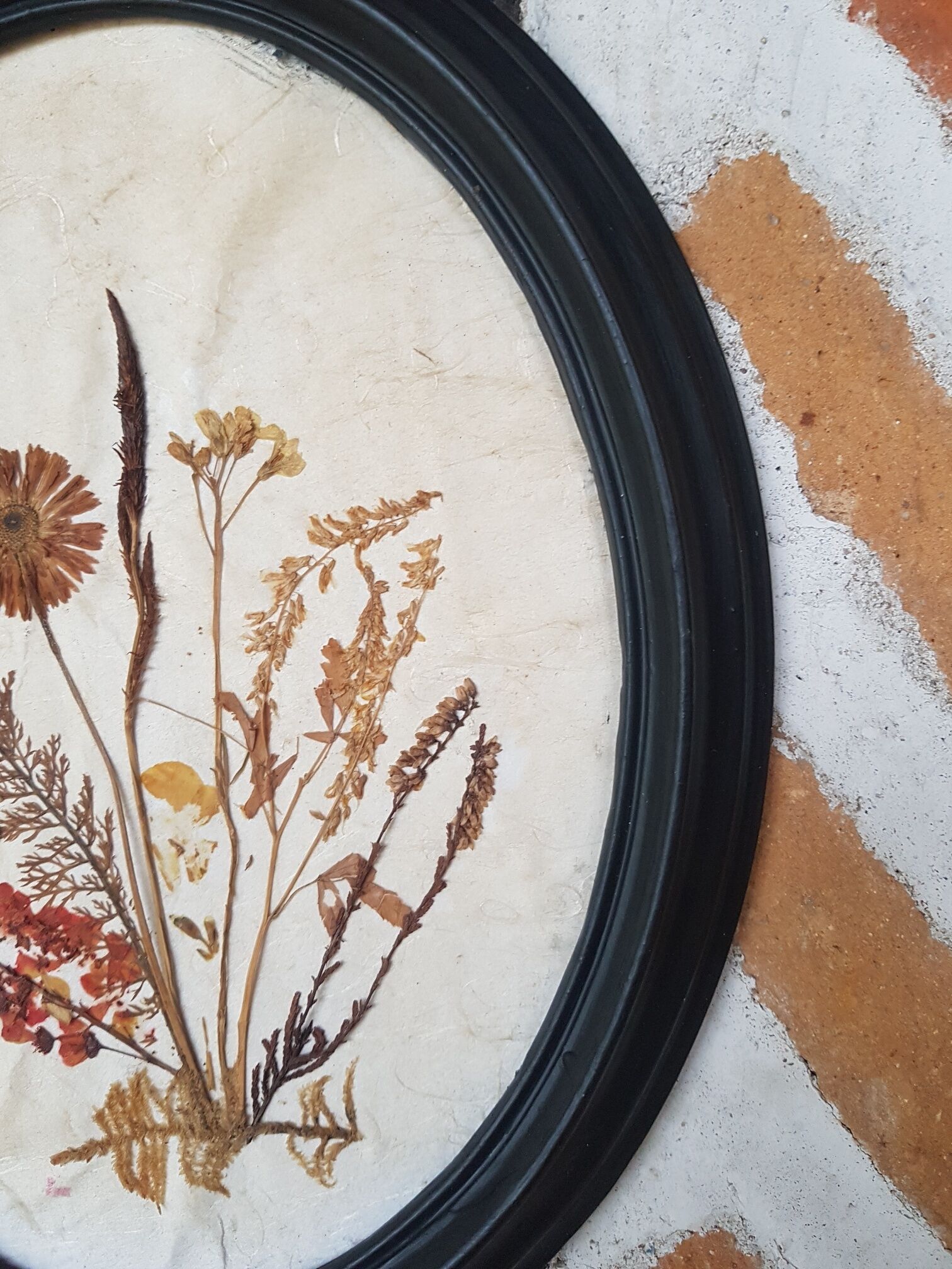 Pair of dried flower frames