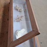 Old display case