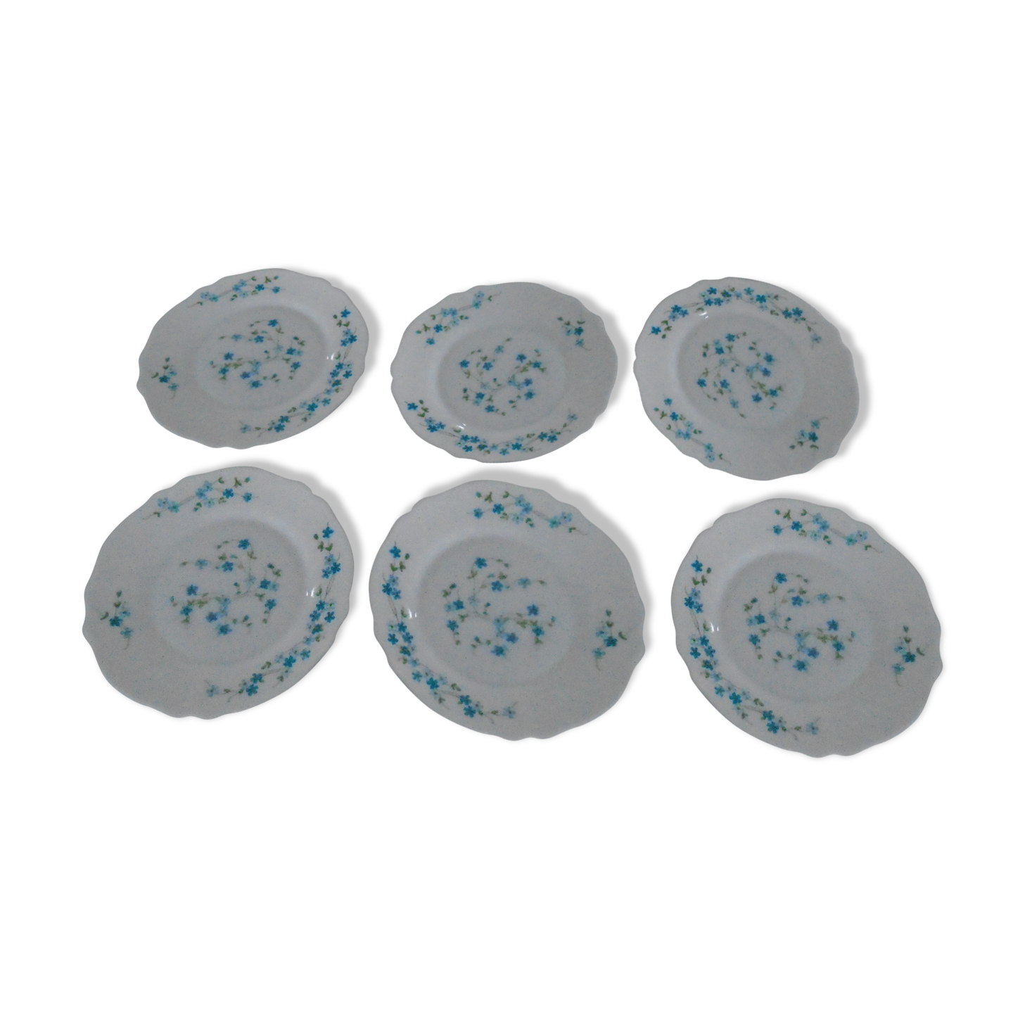 6 plates desserts veronica blue flowers myosotis arcopal france
