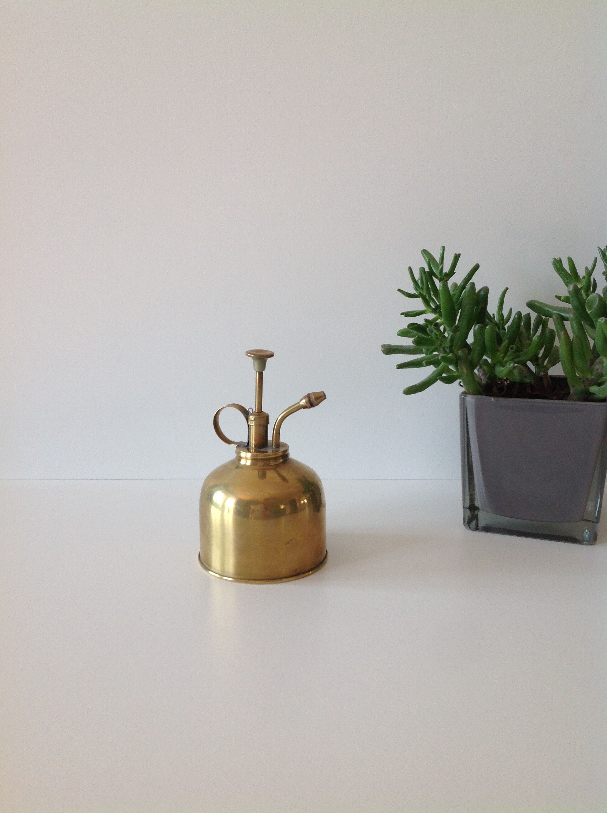 Atomizer for plant in brass