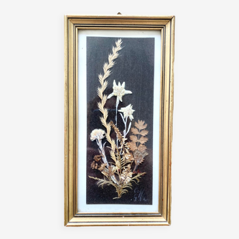 Framed herbarium