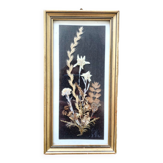 Framed herbarium