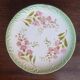 Digoin & Sarreguemines dessert plates