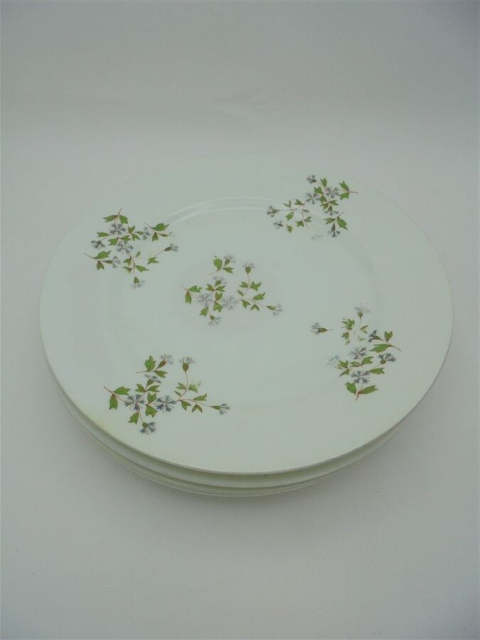 Set of 4 flat plates