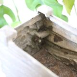 Art deco cast iron planter