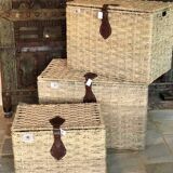 Storage trunk (L)