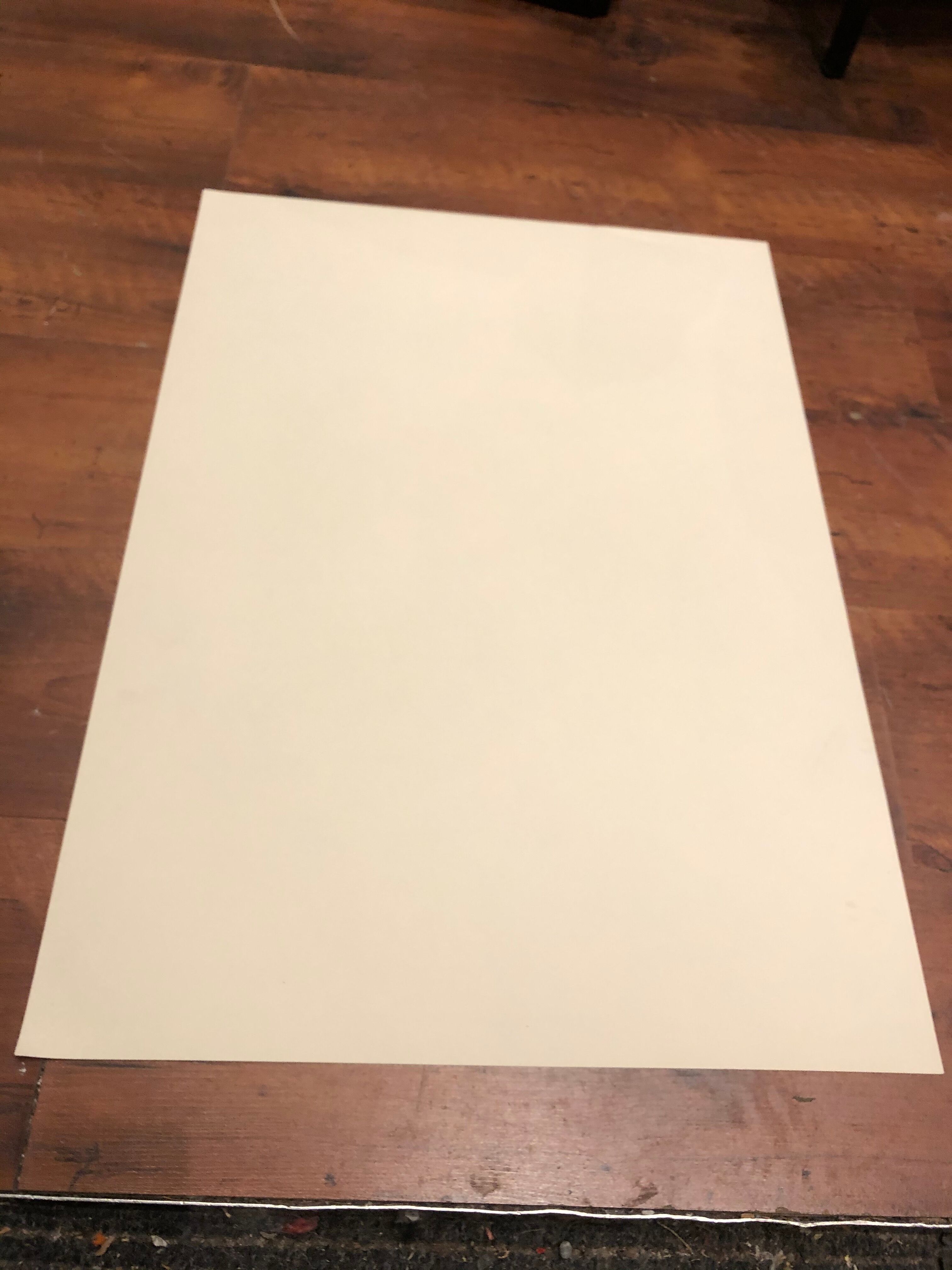 Original ideogram poster fly 1986 Dardelet vintage lithograph