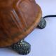 Amber turtle lamp
